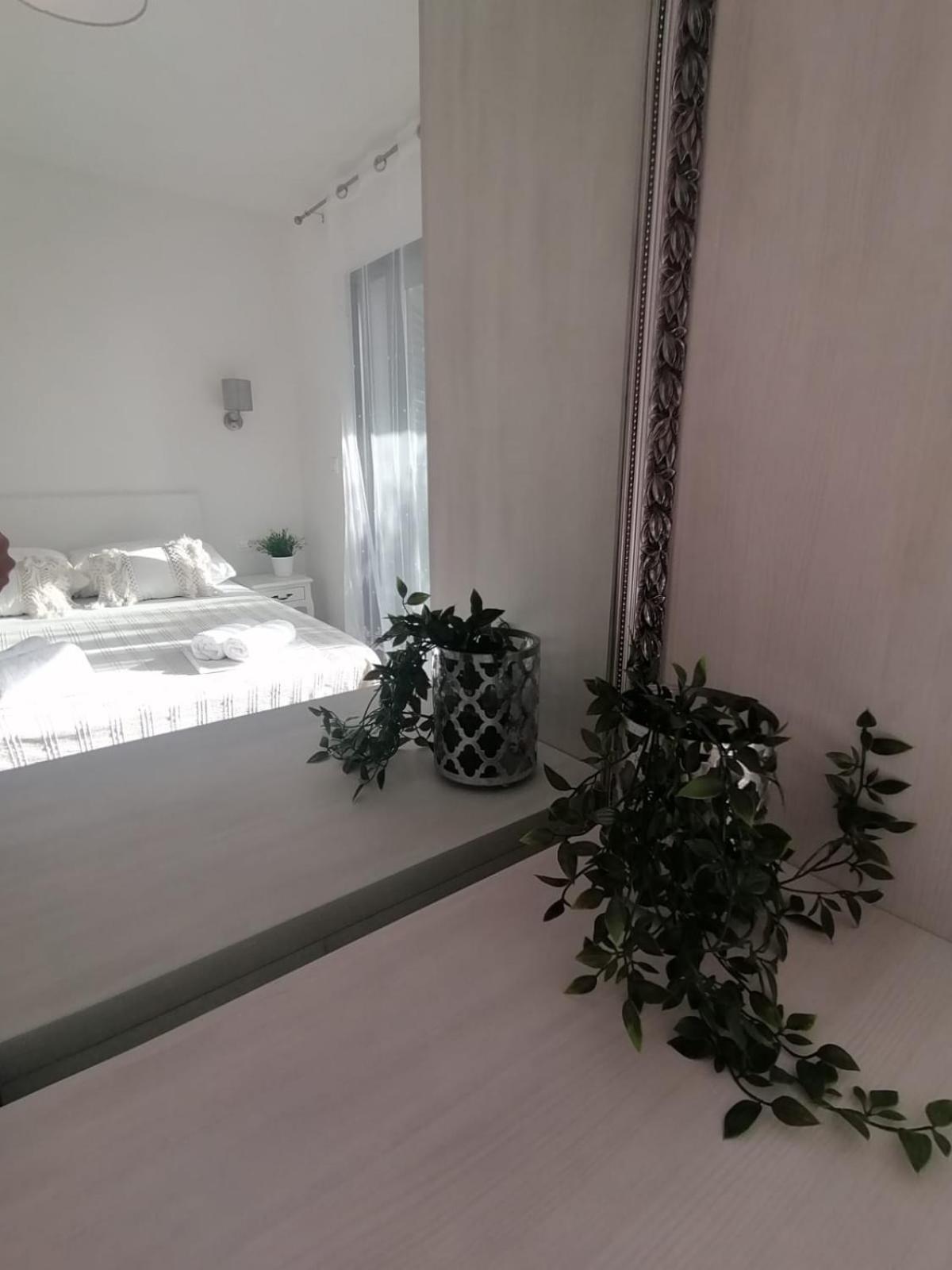 Apartmani Zoric ヴォディツェ 部屋 写真